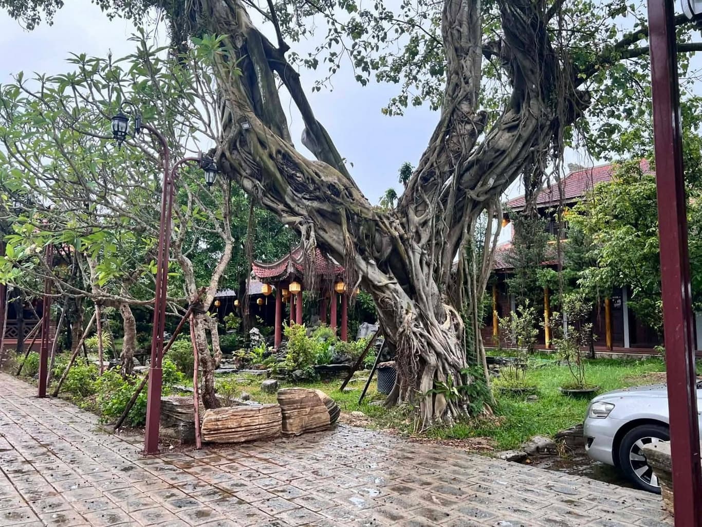 Cúng dường mùa An Cư Kiết Hạ — 79