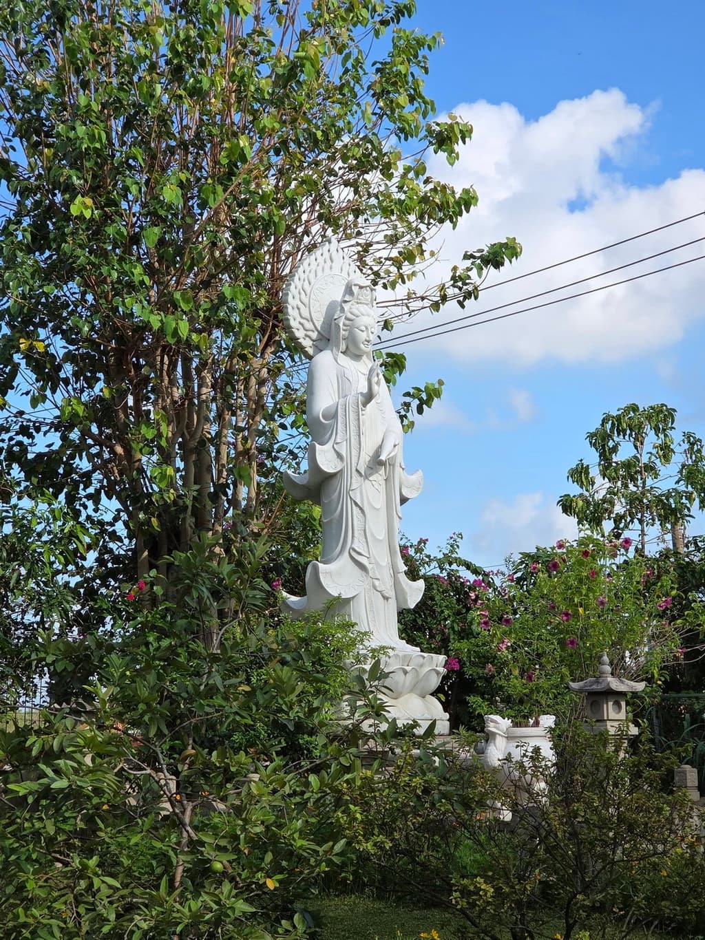 Từ thiện mùa Phật đản