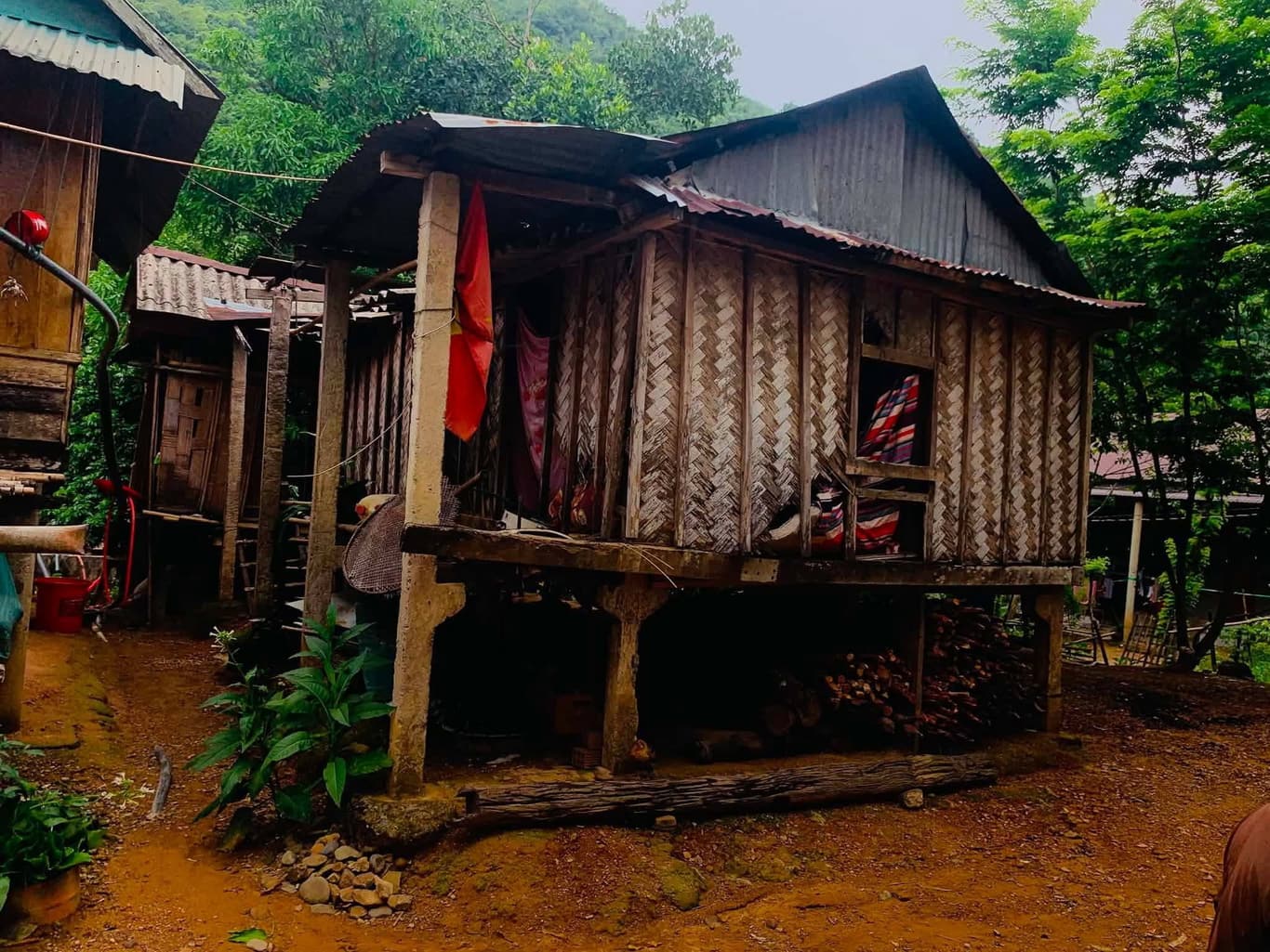 Từ thiện mùa Phật đản — 13