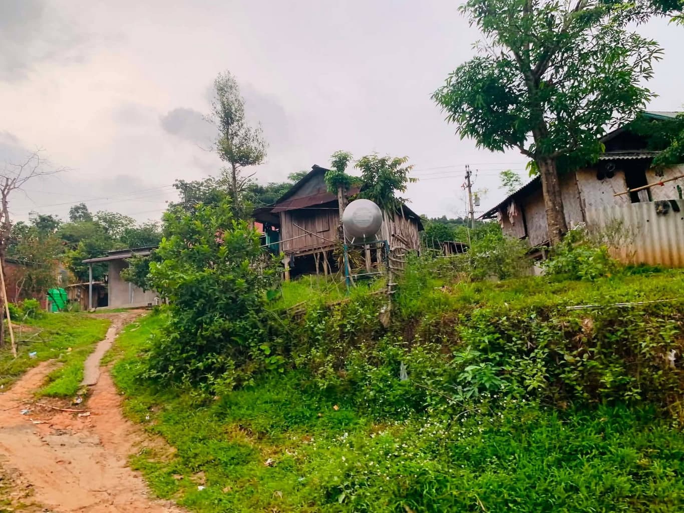 Từ thiện mùa Phật đản — 18