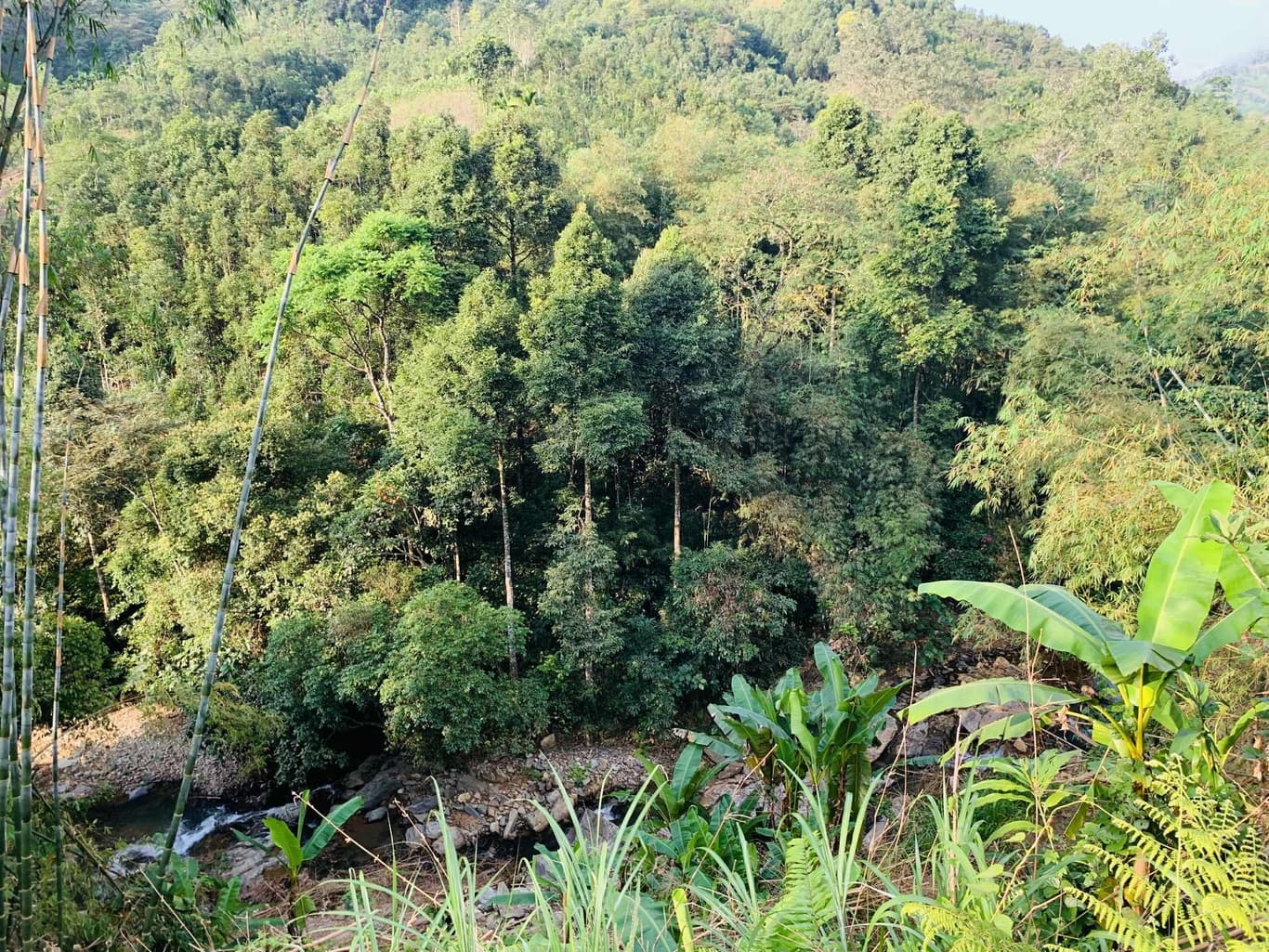 Từ thiện Tết Quảng Ngãi — 4