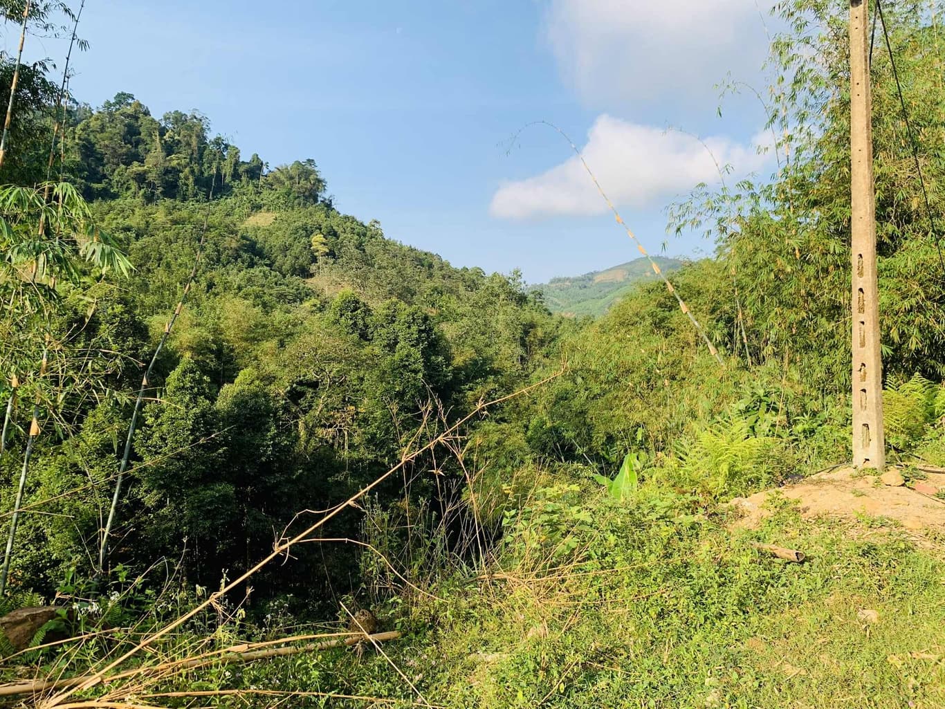 Từ thiện Tết Quảng Ngãi